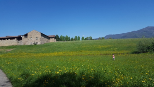 Just walking through a field with a centuries old building and the alps in the background